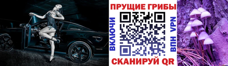 Псилоцибиновые грибы прущие грибы  Купить  Комсомольск 